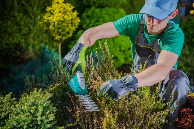 landscaping services Islandia